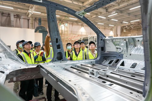 鏡頭聚焦新臨港 高質量發展調研行走進上海臨港新片區